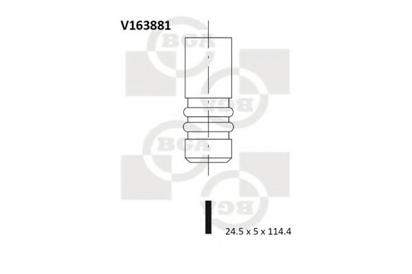 BGA V163881 Exhaust Valve